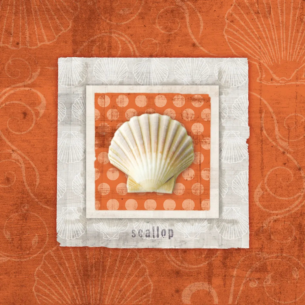 Sea Shell III by Belinda Aldrich. SKU 32963a. Archival Giclee Fine art print for wall decor.