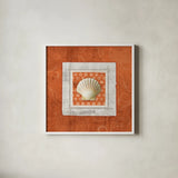 Sea Shell III by Belinda Aldrich. Shown in a crisp white glass frame for a clean and minimalist style. Available as an archival giclee rolled canvas, fine art paper, or poster print. SKU 32963a.