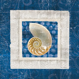 Sea Shell on Blue II by Belinda Aldrich. SKU 11934a. Archival Giclee Fine art print for wall decor.