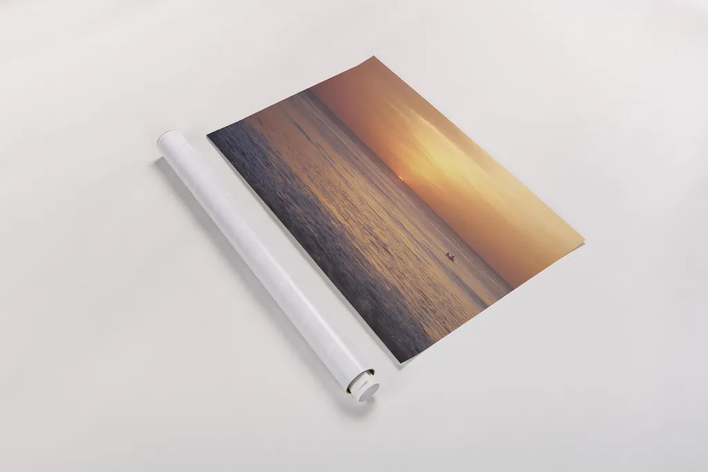 Waiting Crop by Belinda Aldrich. shown as a rolled paper print. Available as archival giclee rolled canvas, fine art paper, or poster print. SKU 89814i.