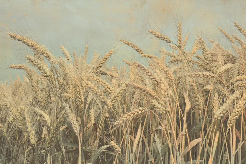 Gold Harvest by Ben Richard. SKU 52752i. Archival Giclee Fine art print for wall decor.