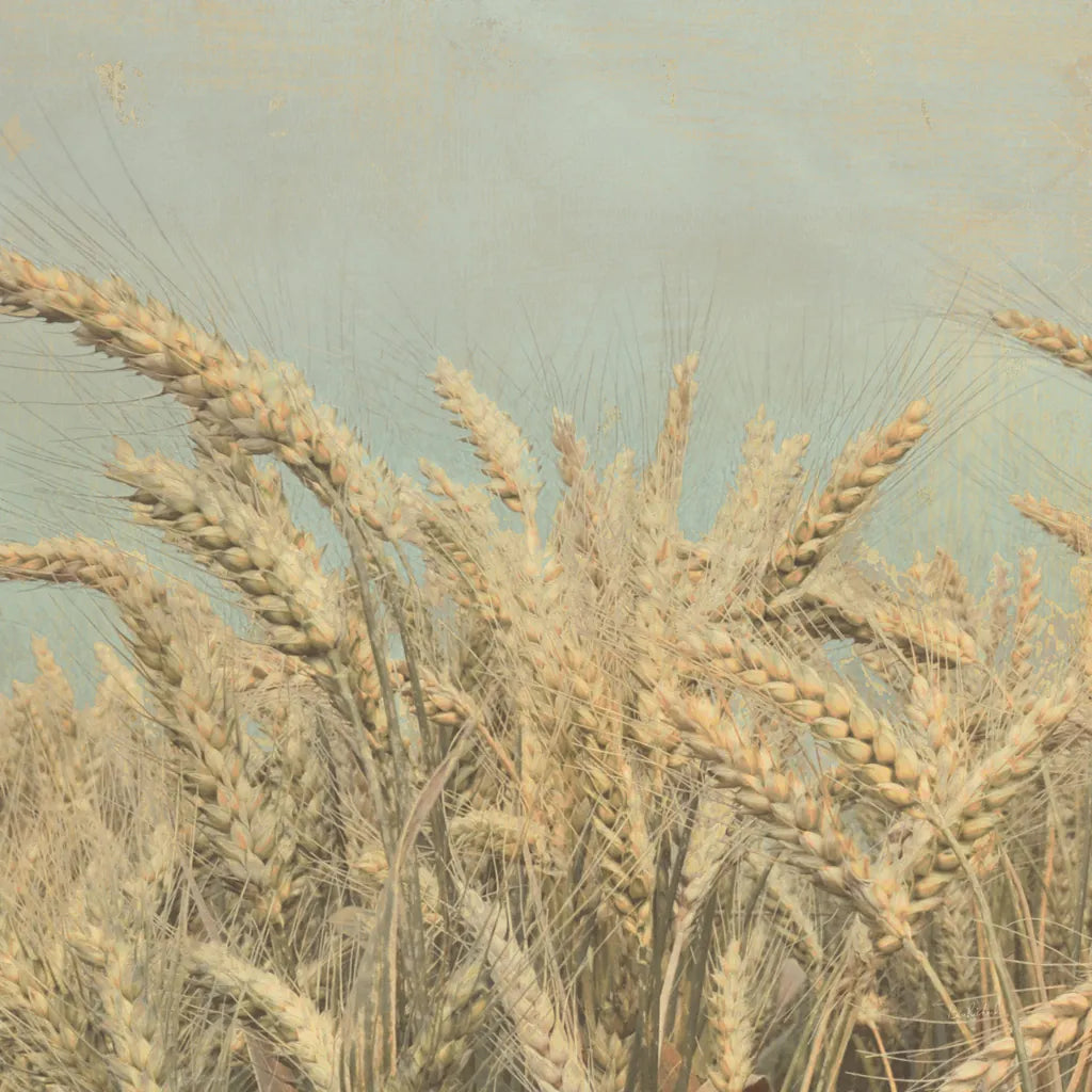 Gold Harvest Crop by Ben Richard. SKU 52752a. Archival Giclee Fine art print for wall decor.
