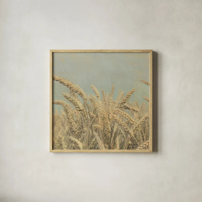 Gold Harvest Crop by Ben Richard. Shown in a natural wood glass frame for a timeless modern aesthetic. Available as an archival giclee rolled canvas, fine art paper, or poster print. SKU 52752a.