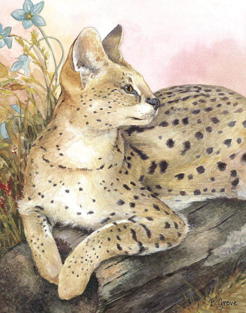 African Serval I by Beth Grove