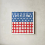 Americana Style VI by Beth Grove. Shown in a crisp white glass frame for a clean and minimalist style. Available as an archival giclee rolled canvas, fine art paper, or poster print. SKU 69485a.