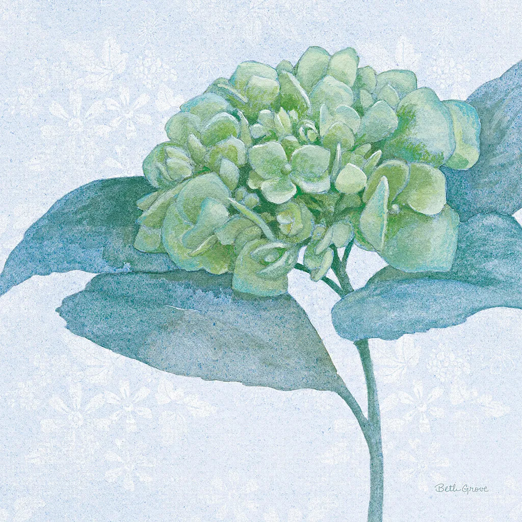 Blue Hydrangea II Light by Beth Grove. SKU 21475a. Archival Giclee Fine art print for wall decor.