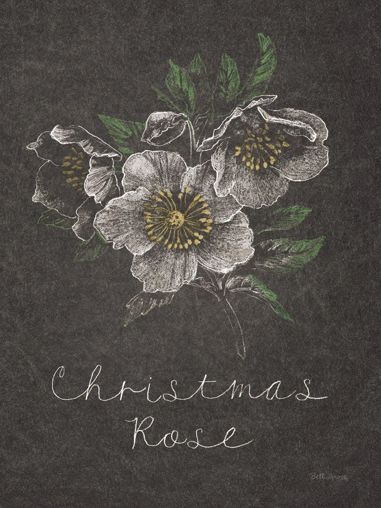 Chalkboard Christmas Greenery III by Beth Grove
