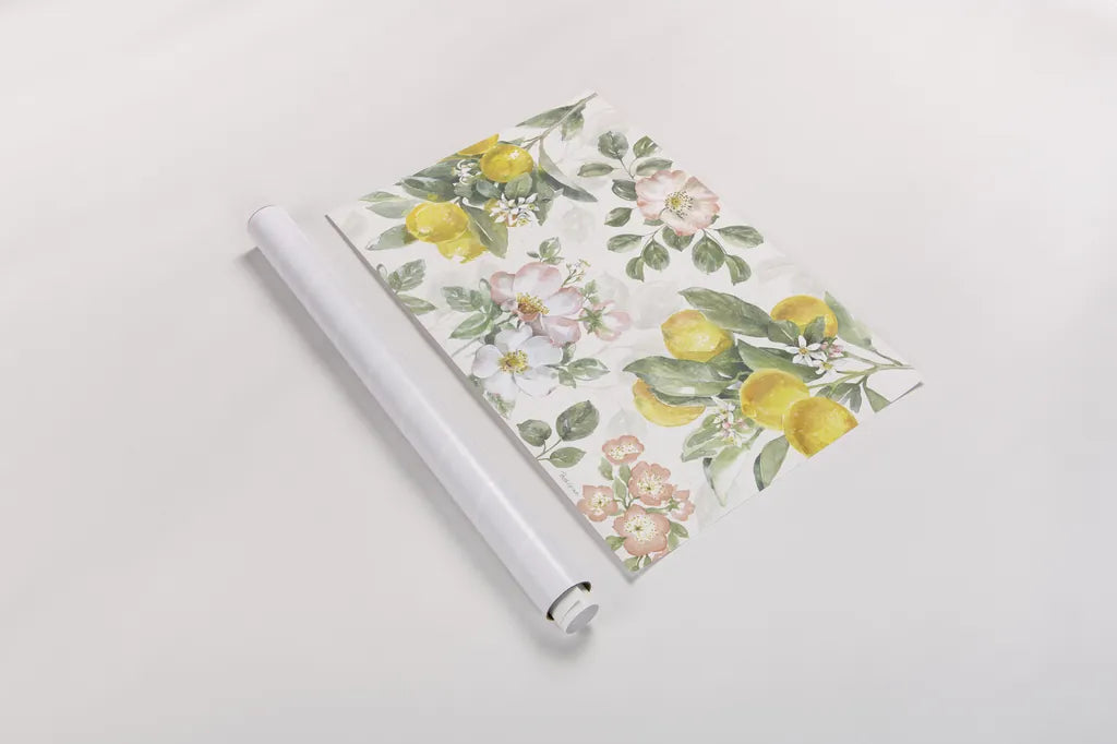 Citrus Charm IV by Beth Grove. shown as a rolled paper print. Available as archival giclee rolled canvas, fine art paper, or poster print. SKU 65558i.