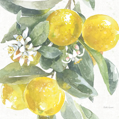 Citrus Charm Lemons I by Beth Grove. SKU 66092a. Archival Giclee Fine art print for wall decor.
