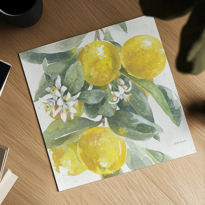Citrus Charm Lemons I by Beth Grove. Shown as a detailed flat fine art print, highlighting archival giclee quality. Available as an archival giclee rolled canvas, fine art paper, or poster print. SKU 66092a.