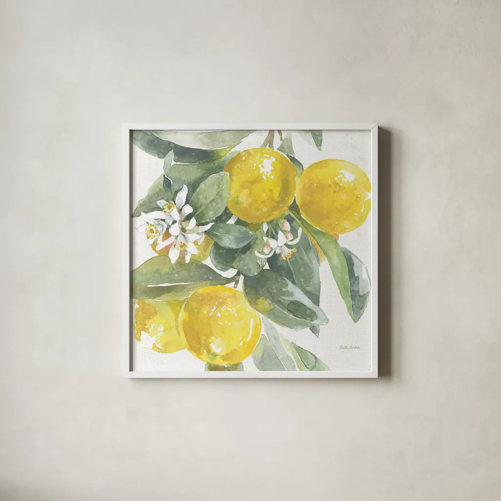 Citrus Charm Lemons I by Beth Grove. Shown in a crisp white glass frame for a clean and minimalist style. Available as an archival giclee rolled canvas, fine art paper, or poster print. SKU 66092a.