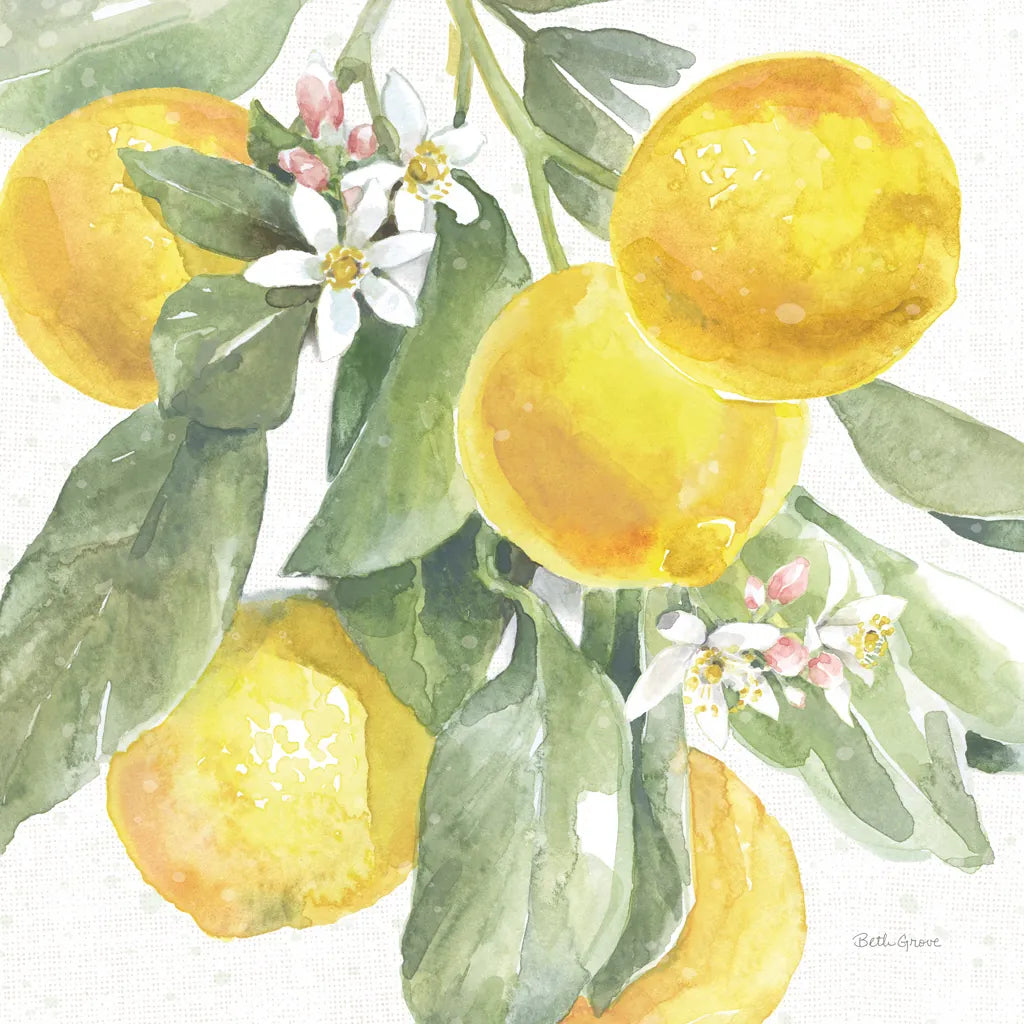 Citrus Charm Lemons II by Beth Grove. SKU 66093a. Archival Giclee Fine art print for wall decor.