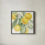Citrus Charm Lemons II by Beth Grove. Shown in a sleek black glass frame for a contemporary gallery look. Available as an archival giclee rolled canvas, fine art paper, or poster print. SKU 66093a.