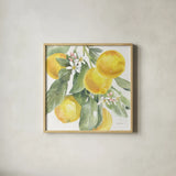 Citrus Charm Lemons II by Beth Grove. Shown in a natural wood glass frame for a timeless modern aesthetic. Available as an archival giclee rolled canvas, fine art paper, or poster print. SKU 66093a.