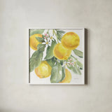 Citrus Charm Lemons II by Beth Grove. Shown in a crisp white glass frame for a clean and minimalist style. Available as an archival giclee rolled canvas, fine art paper, or poster print. SKU 66093a.
