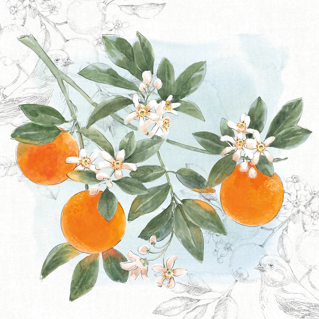 Citrus Wings II by Beth Grove. SKU 97255a. Archival Giclee Fine art print for wall decor.