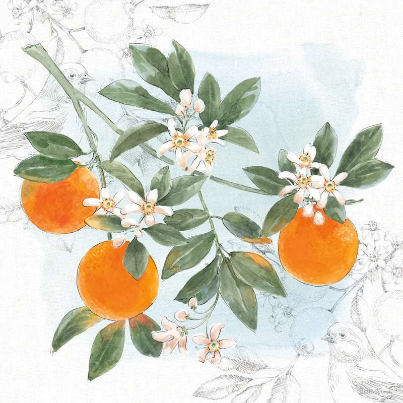 Citrus Wings II by Beth Grove. SKU 97255a. Archival Giclee Fine art print for wall decor.