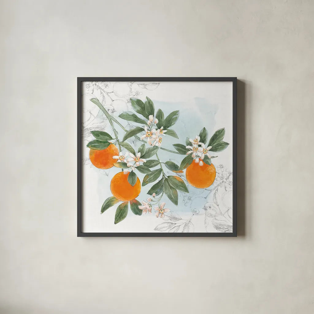 Citrus Wings II by Beth Grove. Shown in a sleek black glass frame for a contemporary gallery look. Available as an archival giclee rolled canvas, fine art paper, or poster print. SKU 97255a.