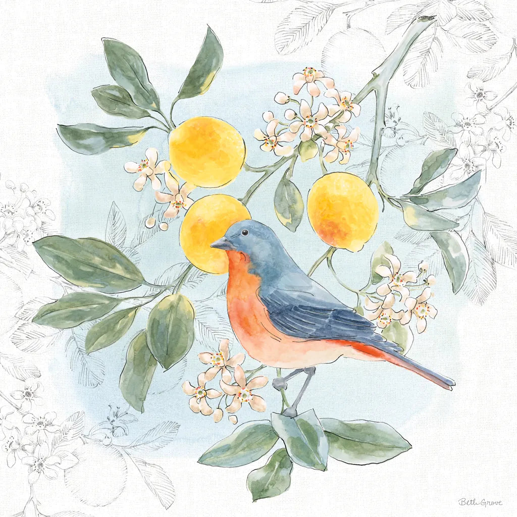 Citrus Wings III by Beth Grove. SKU 97256a. Archival Giclee Fine art print for wall decor.