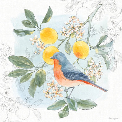 Citrus Wings III by Beth Grove. SKU 97256a. Archival Giclee Fine art print for wall decor.