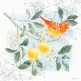 Citrus Wings IV by Beth Grove. SKU 97257a. Archival Giclee Fine art print for wall decor.