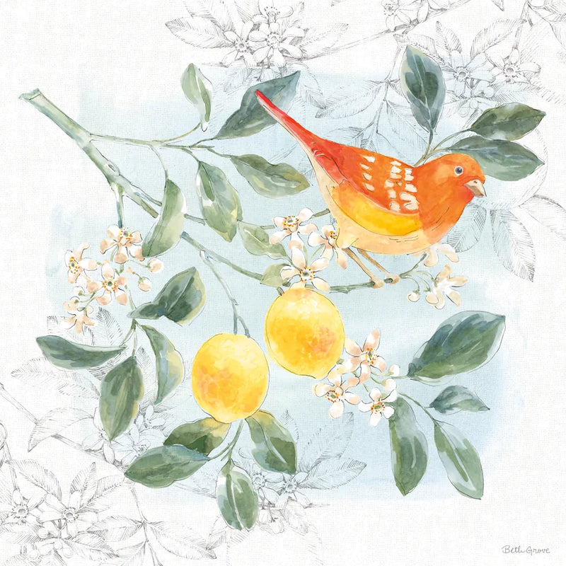 Citrus Wings IV by Beth Grove. SKU 97257a. Archival Giclee Fine art print for wall decor.
