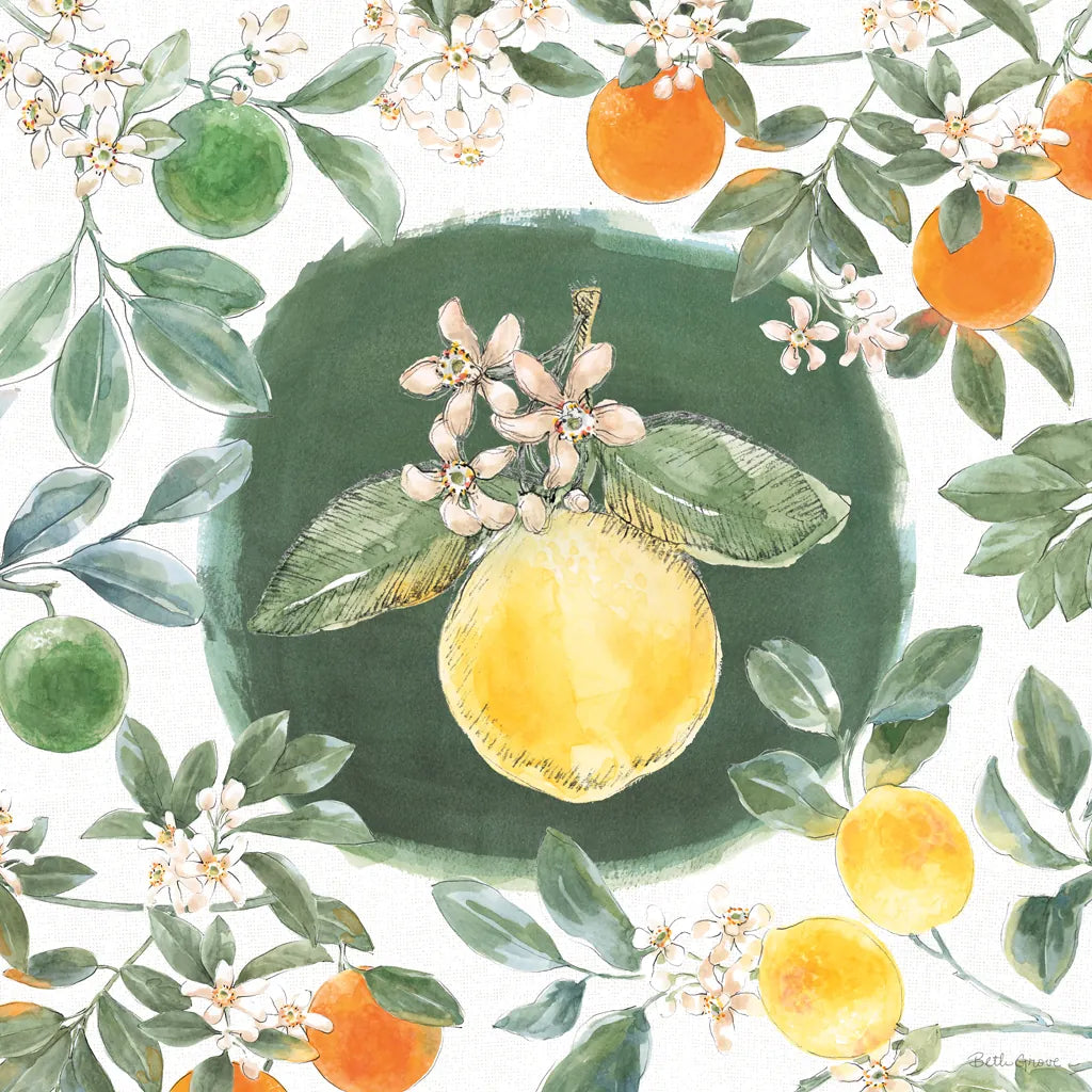 Citrus Wings IX by Beth Grove. SKU 97262a. Archival Giclee Fine art print for wall decor.