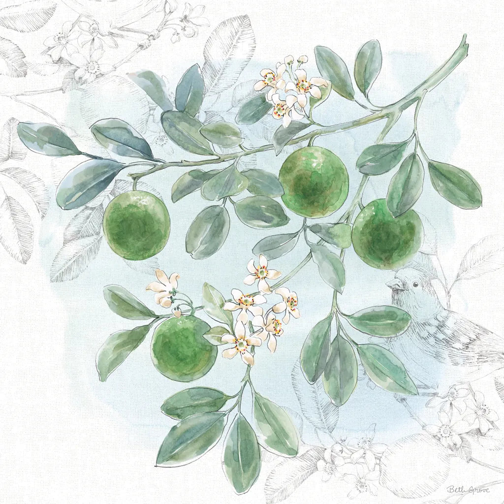 Citrus Wings V by Beth Grove. SKU 97258a. Archival Giclee Fine art print for wall decor.