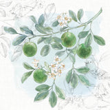 Citrus Wings V by Beth Grove. SKU 97258a. Archival Giclee Fine art print for wall decor.
