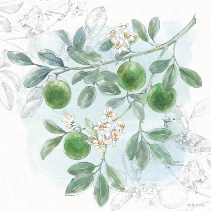 Citrus Wings V by Beth Grove. SKU 97258a. Archival Giclee Fine art print for wall decor.