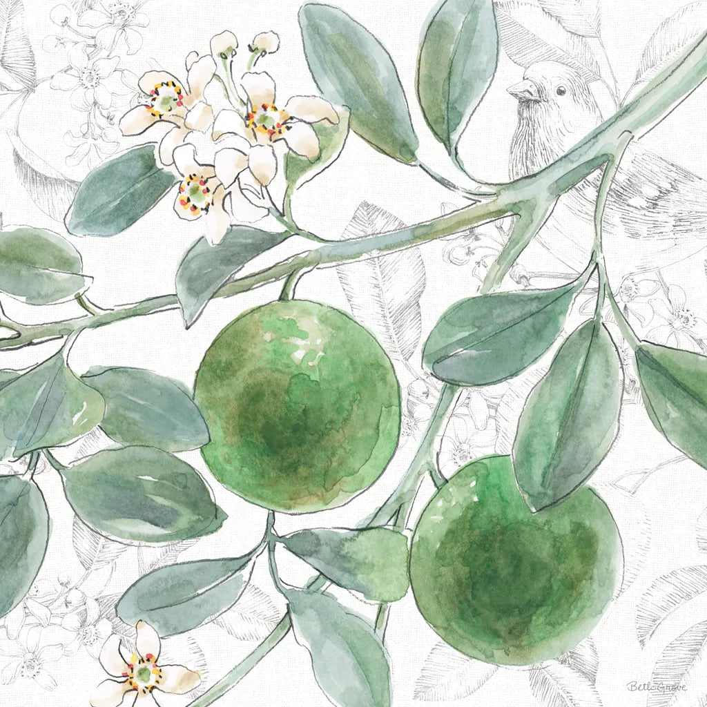 Citrus Wings VI by Beth Grove. SKU 97259a. Archival Giclee Fine art print for wall decor.