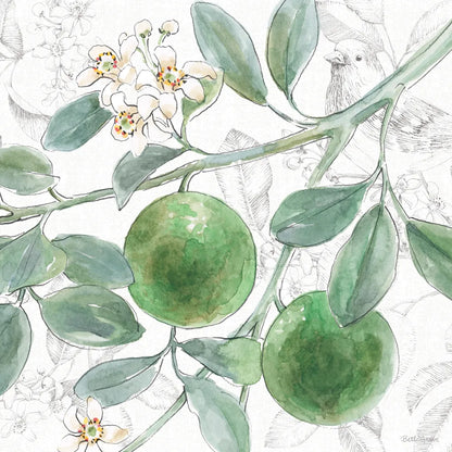 Citrus Wings VI by Beth Grove. SKU 97259a. Archival Giclee Fine art print for wall decor.