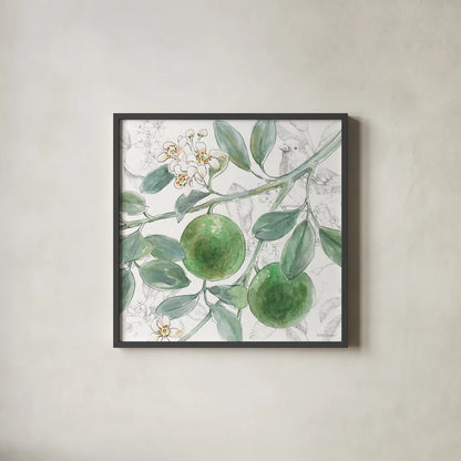 Citrus Wings VI by Beth Grove. Shown in a sleek black glass frame for a contemporary gallery look. Available as an archival giclee rolled canvas, fine art paper, or poster print. SKU 97259a.