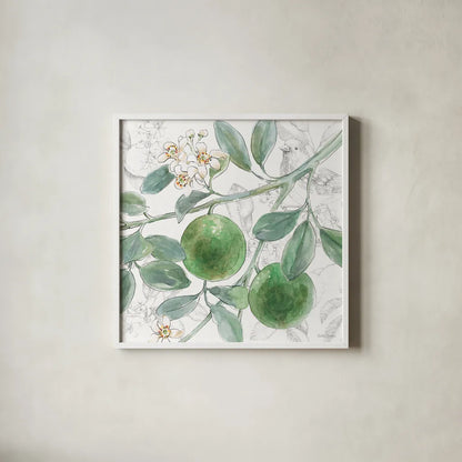Citrus Wings VI by Beth Grove. Shown in a crisp white glass frame for a clean and minimalist style. Available as an archival giclee rolled canvas, fine art paper, or poster print. SKU 97259a.