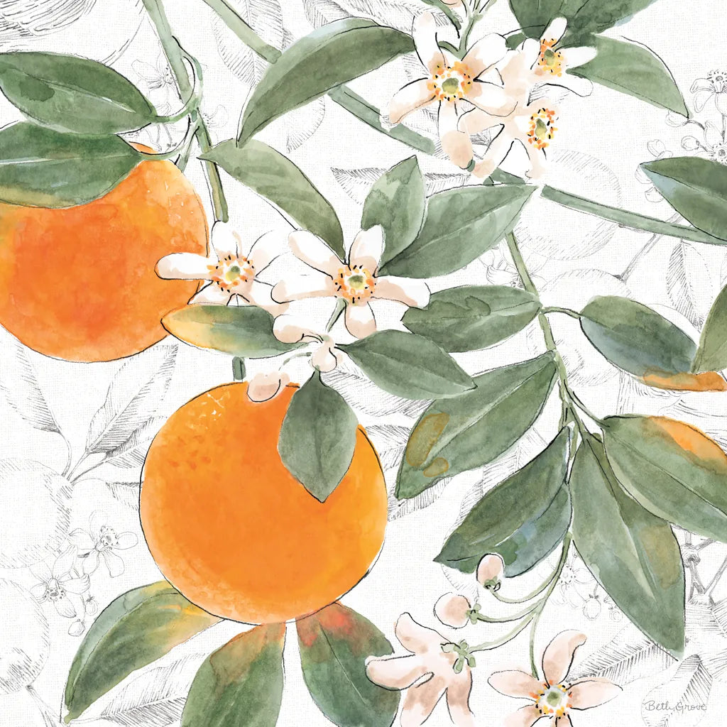 Citrus Wings VII by Beth Grove. SKU 97260a. Archival Giclee Fine art print for wall decor.