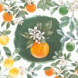 Citrus Wings VIII by Beth Grove. SKU 97261a. Archival Giclee Fine art print for wall decor.