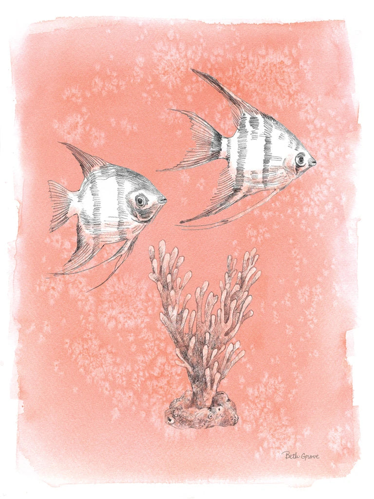 Coastal Sea Life III by Beth Grove
