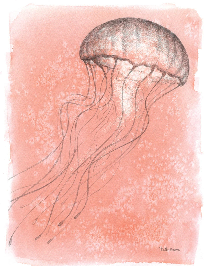 Coastal Sea Life IV Crop by Beth Grove