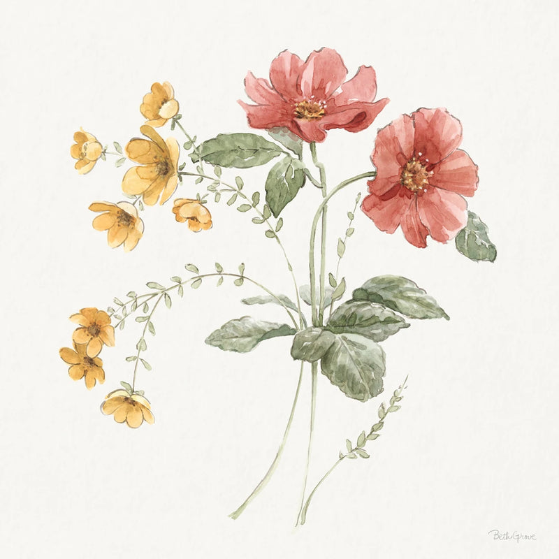 Country Flowers I by Beth Grove