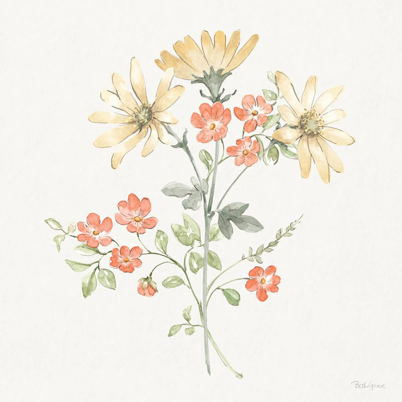 Country Flowers II by Beth Grove