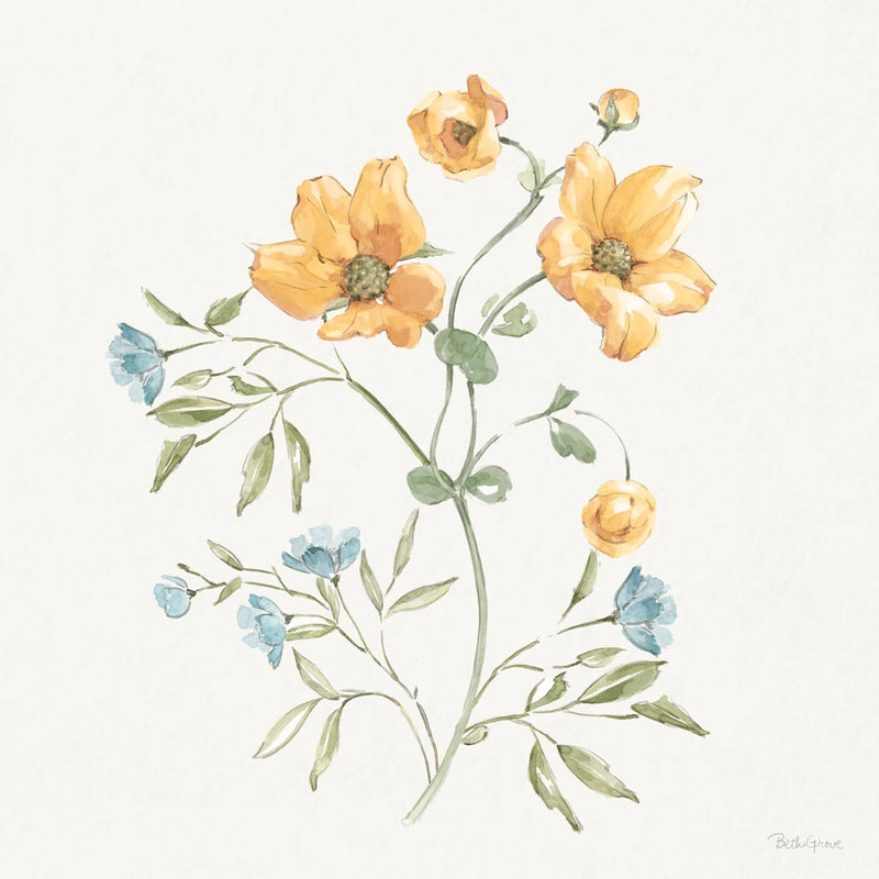 Country Flowers III by Beth Grove