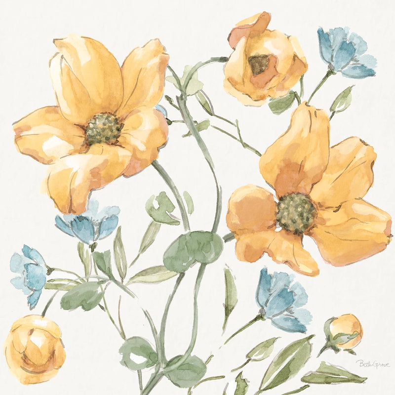 Country Flowers XIII by Beth Grove