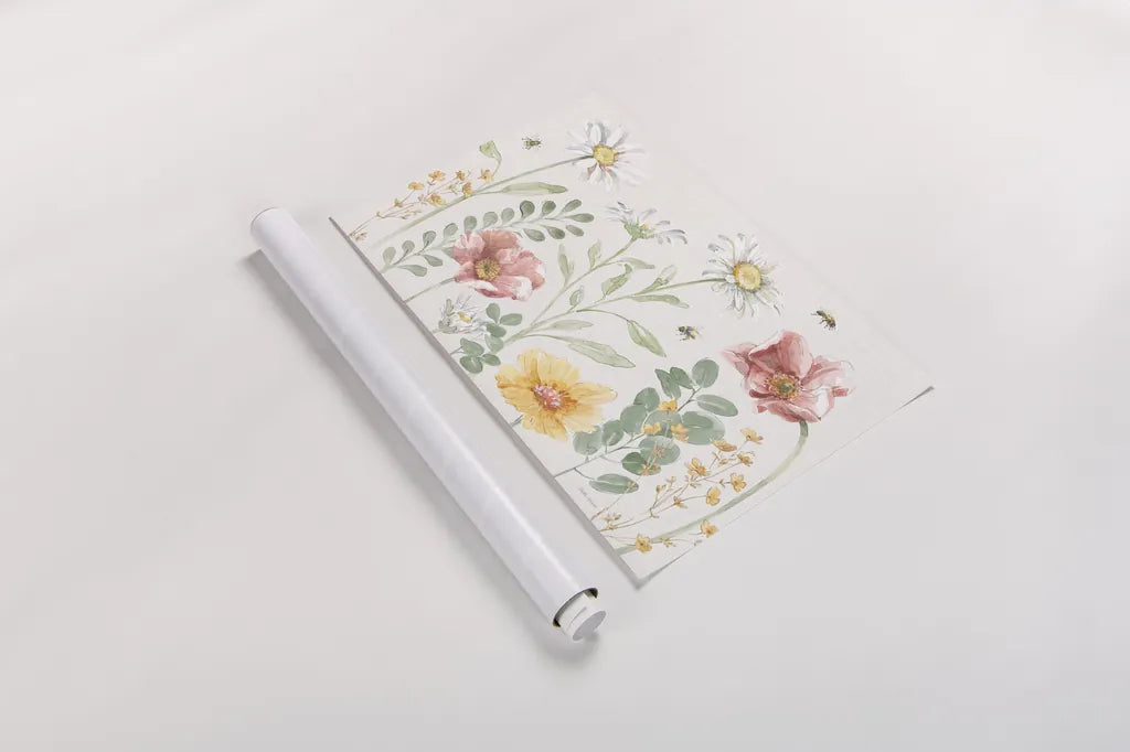 Daisy Days I by Beth Grove. shown as a rolled paper print. Available as archival giclee rolled canvas, fine art paper, or poster print. SKU 81989i.