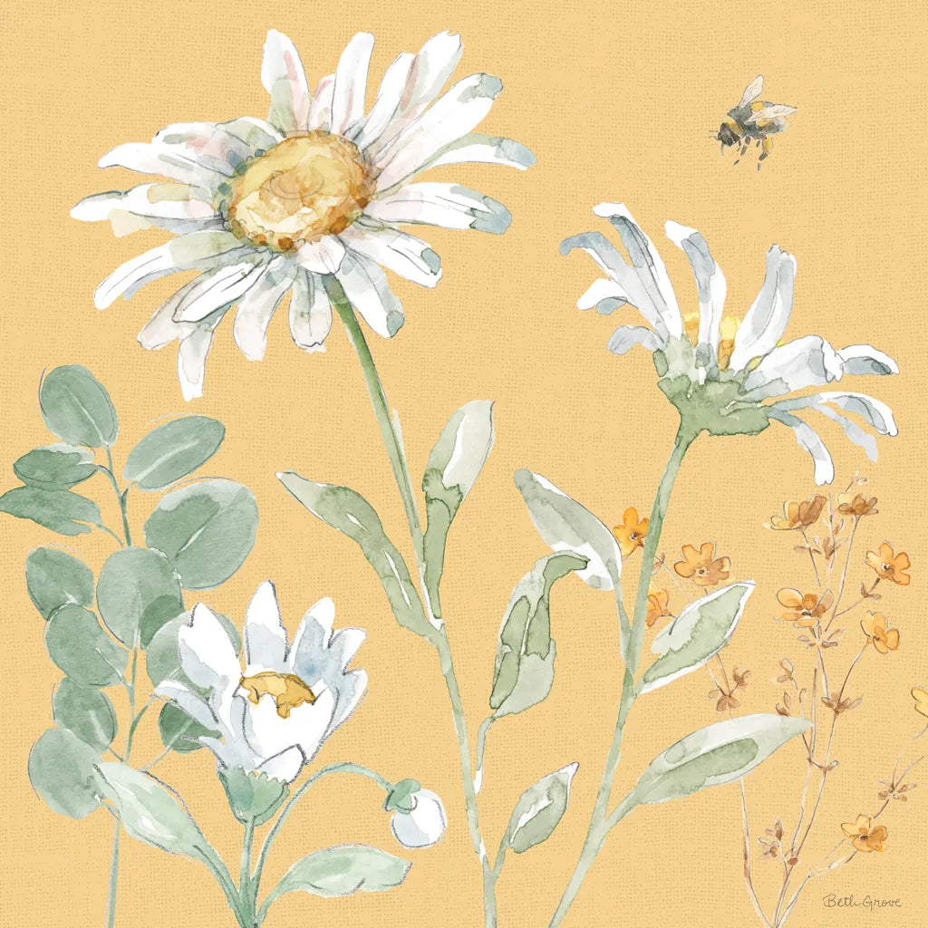 Daisy Days IX by Beth Grove. SKU 81997a. Archival Giclee Fine art print for wall decor.