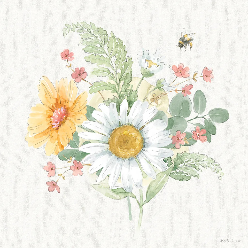 Daisy Days V by Beth Grove. SKU 81993a. Archival Giclee Fine art print for wall decor.
