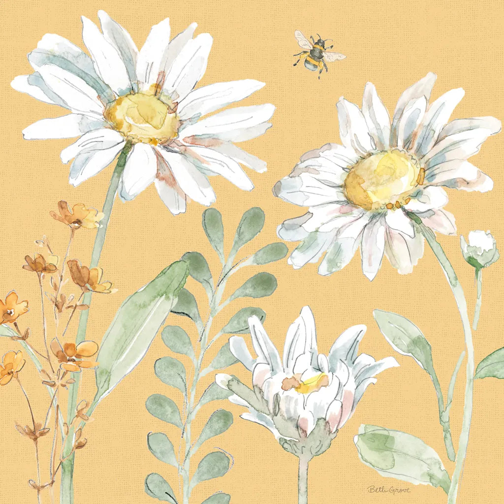 Daisy Days VIII by Beth Grove. SKU 81996a. Archival Giclee Fine art print for wall decor.