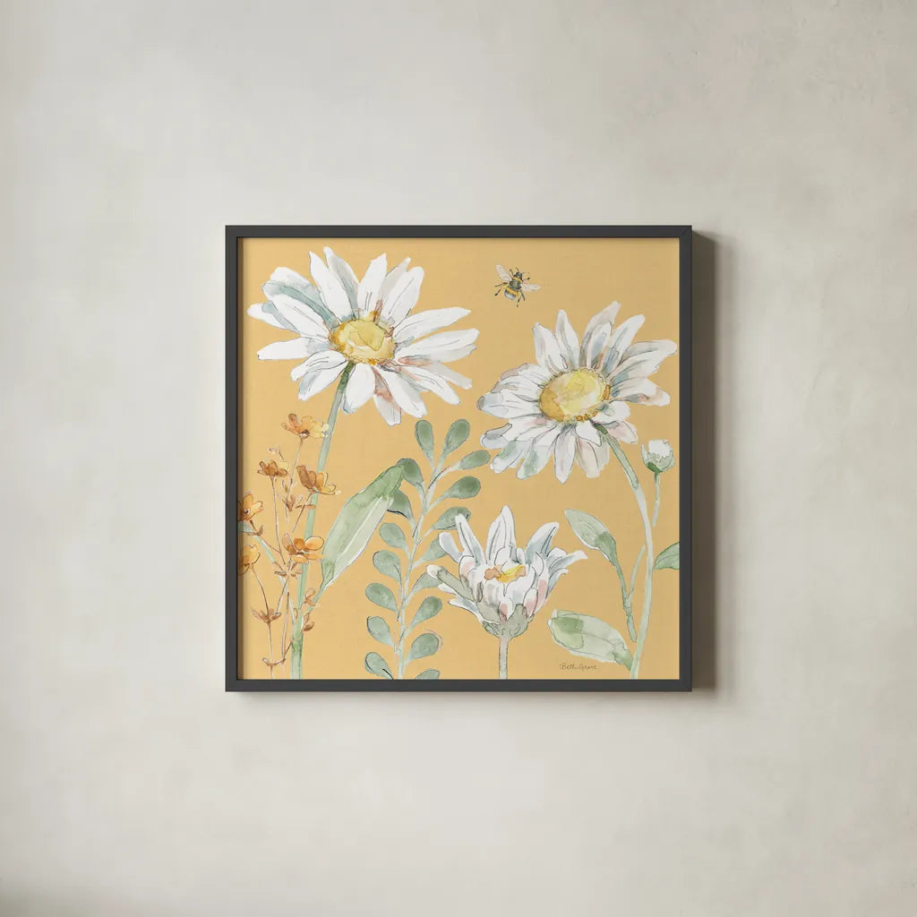Daisy Days VIII by Beth Grove. Shown in a sleek black glass frame for a contemporary gallery look. Available as an archival giclee rolled canvas, fine art paper, or poster print. SKU 81996a.