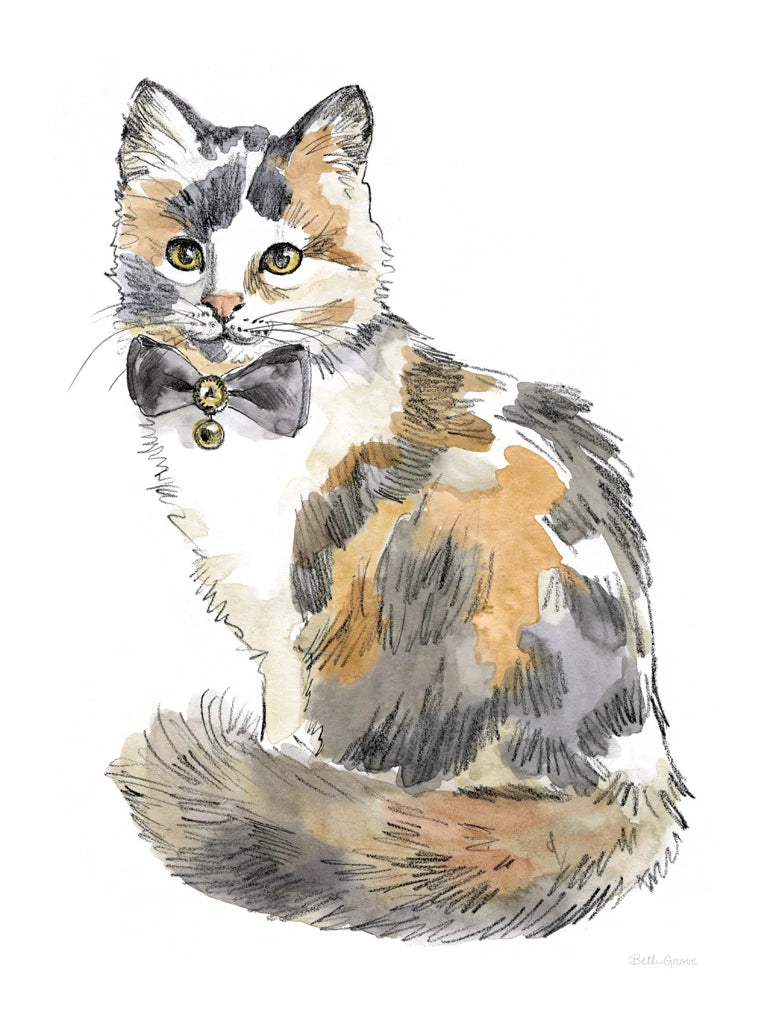 Fancy Cats II by Beth Grove