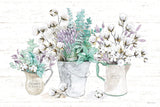 Farmhouse Cotton I by Beth Grove. SKU 50895i. Archival Giclee Fine art print for wall decor.