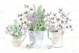 Farmhouse Cotton I Sage by Beth Grove. SKU 57448i. Archival Giclee Fine art print for wall decor.